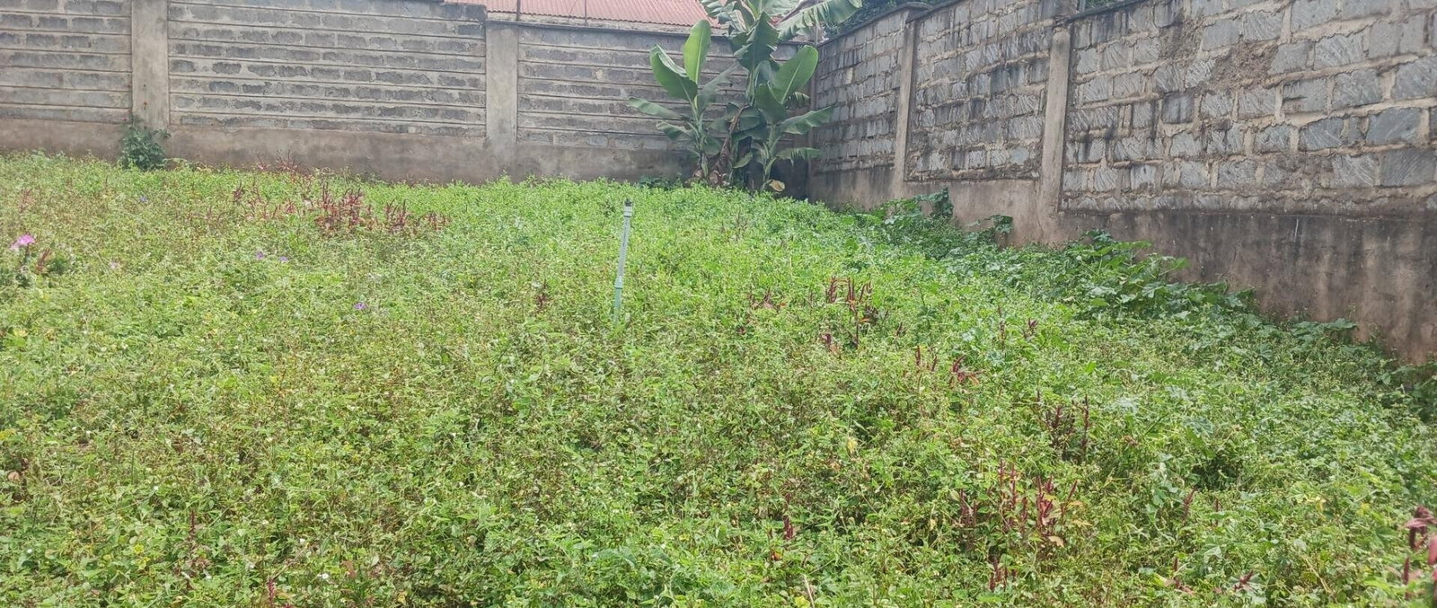 KSh 25M Plot with Borehole - Rungiri