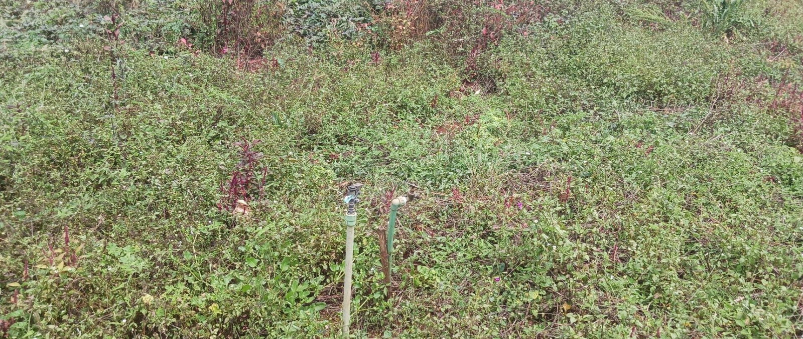 KSh 25M Plot with Borehole - Rungiri