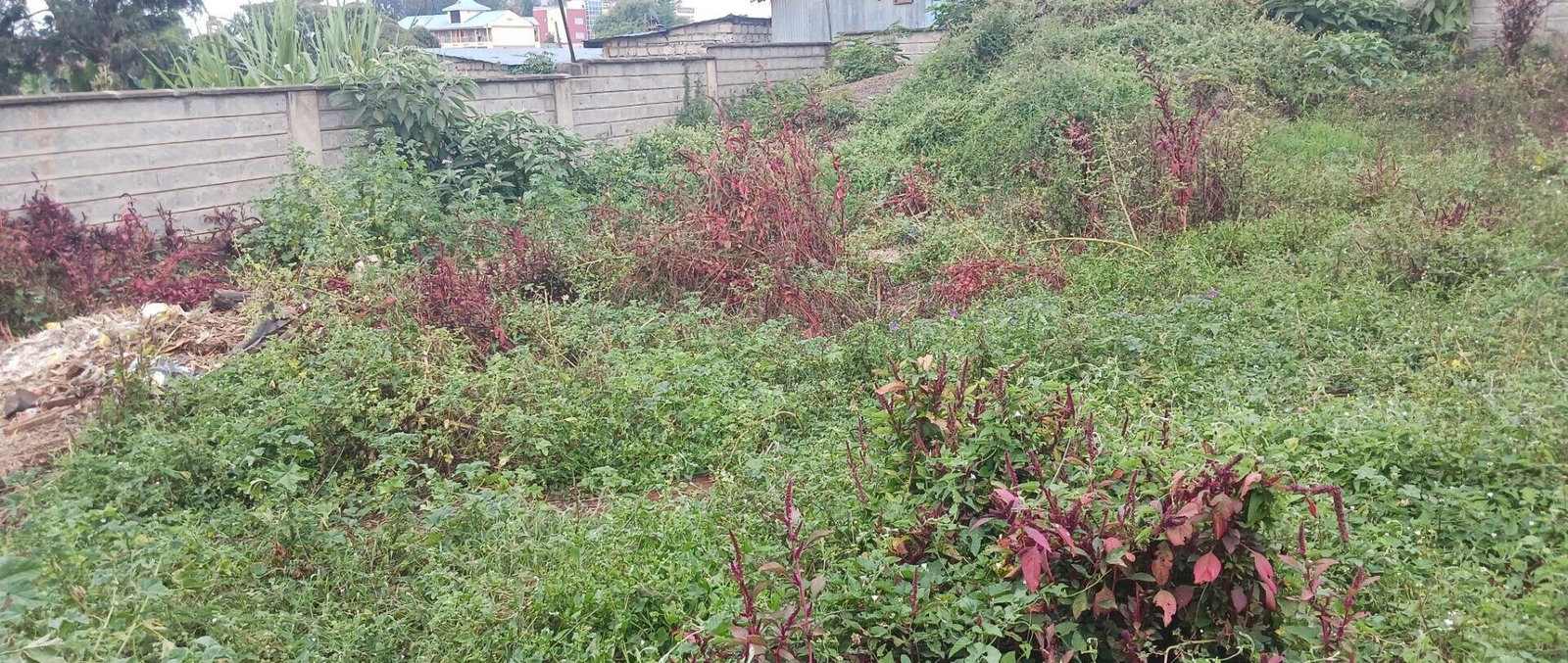 KSh 25M Plot with Borehole - Rungiri