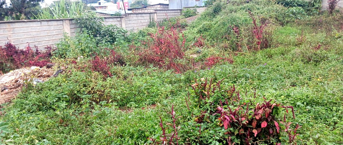 KSh 25M Plot with Borehole - Rungiri