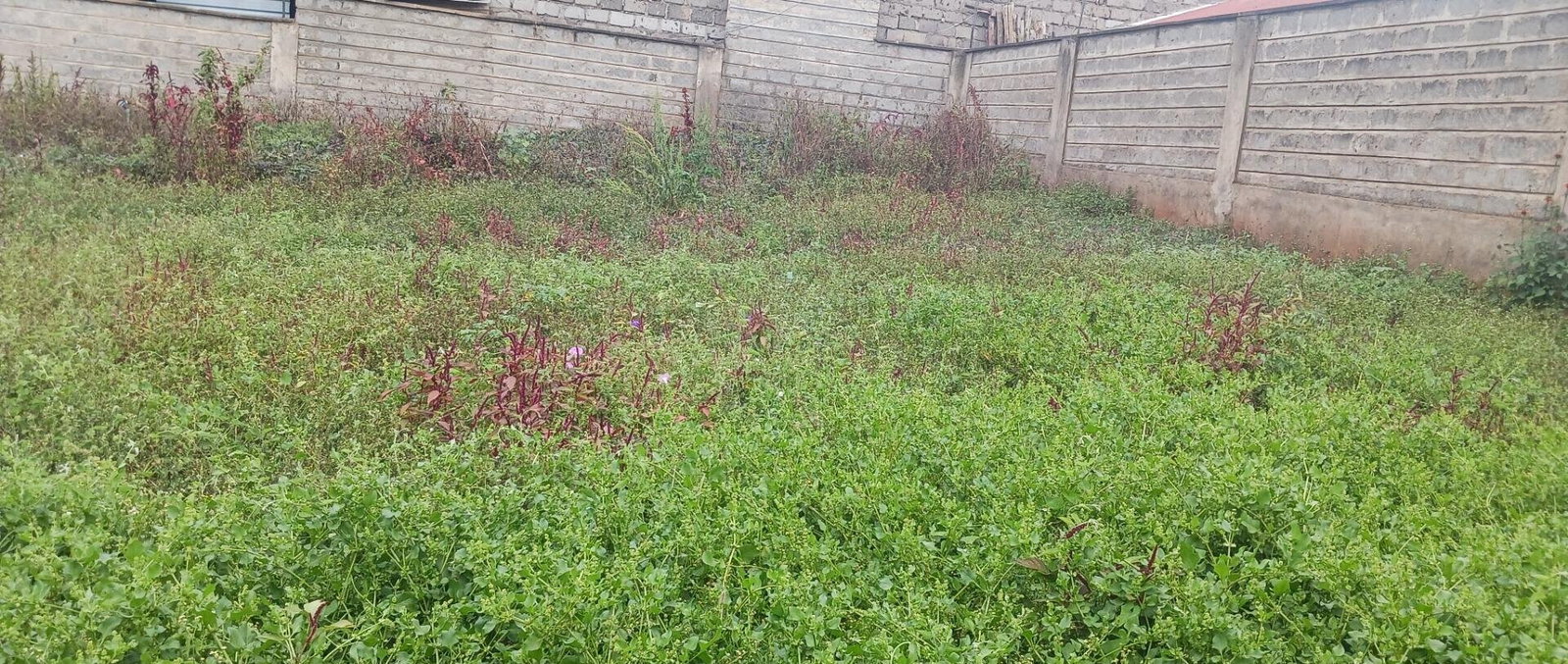KSh 25M Plot with Borehole - Rungiri