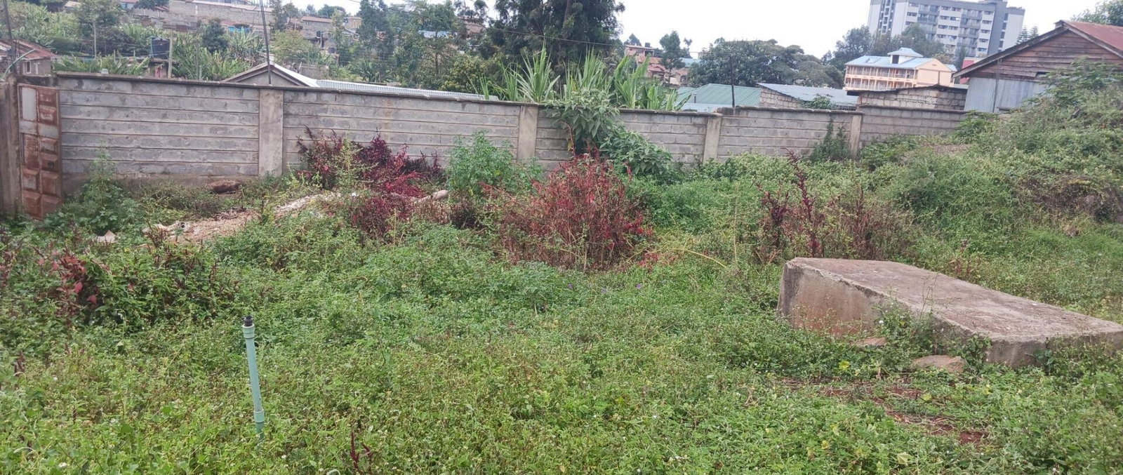KSh 25M Plot with Borehole - Rungiri