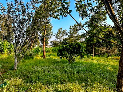 Half Acre Land on Tarmac in Limuru. - Image 9