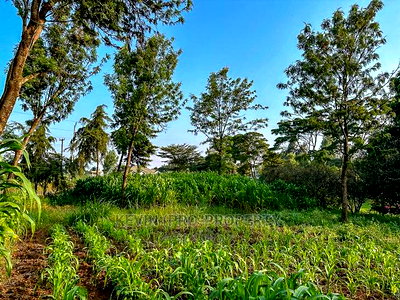 Half Acre Land on Tarmac in Limuru. - Image 6