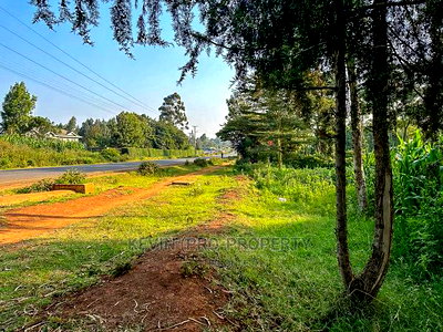 Half Acre Land on Tarmac in Limuru. - Image 8