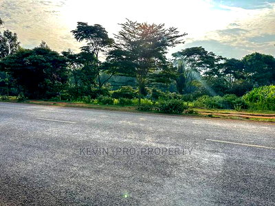 Half Acre Land on Tarmac in Limuru. - Image 5