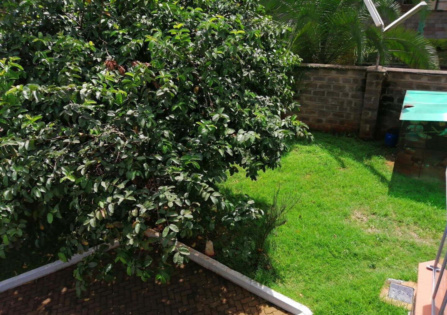 Corner Townhouse with Mature Private Garden - Lavington