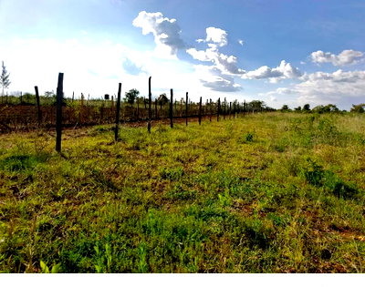 1.1 Acres in Narok Town