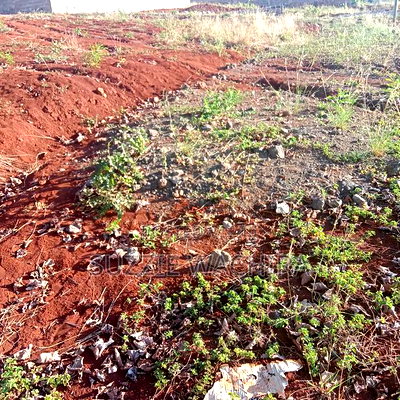 Plots at Kenol,Makuyu and Makutano Ranging From to 5.5M - Image 4