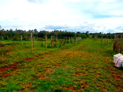 Prime Plots for Sale in Royaltone Eldoret - Image 3