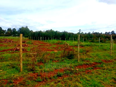 Prime Plots for Sale in Royaltone Eldoret - Image 2