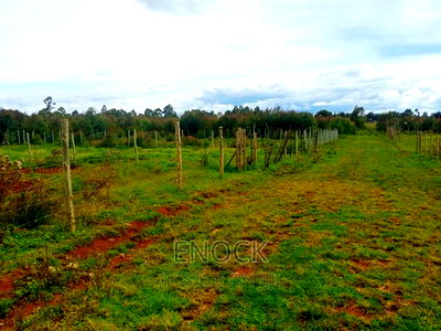 Prime Plots for Sale in Royaltone Eldoret - Image 4