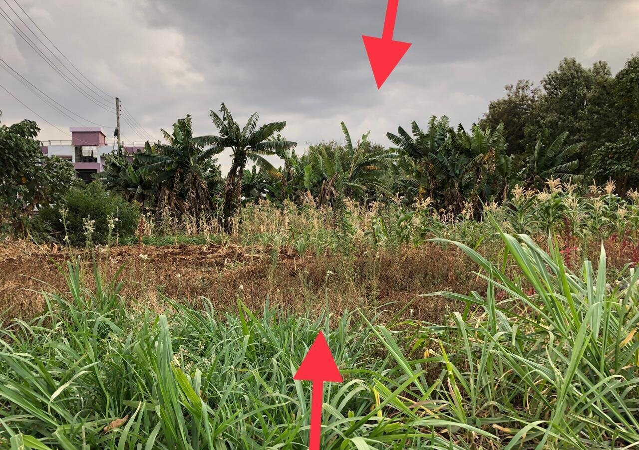 5-Acre Kitisuru Plot at KSh 240M