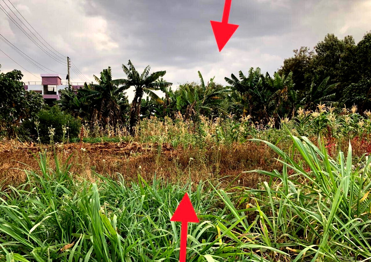 5-Acre Kitisuru Plot at KSh 240M