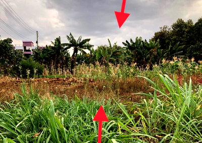 5-Acre Kitisuru Plot at KSh 240M