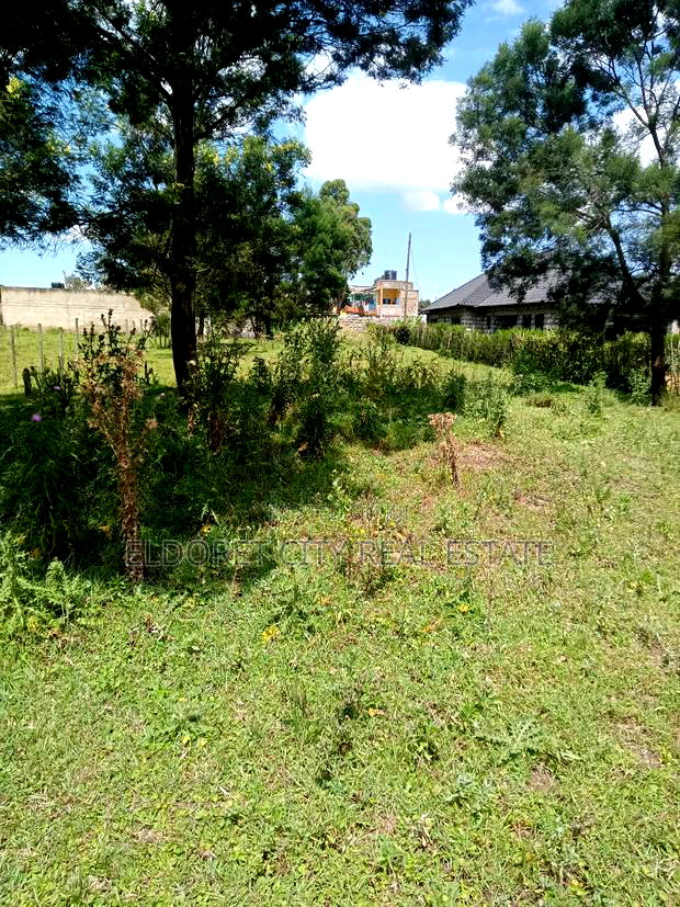 1/4 Plot Royalton After Annex With Title