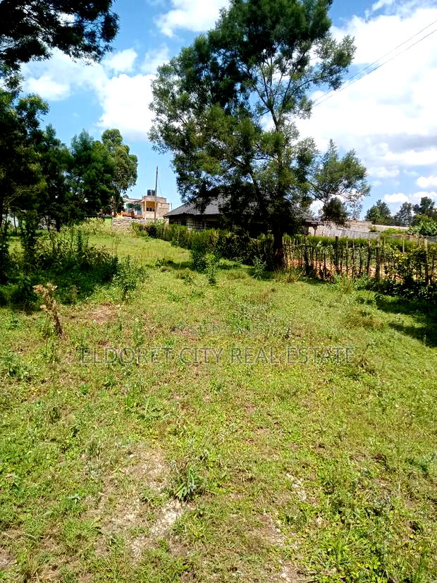 1/4 Plot Royalton After Annex With Title