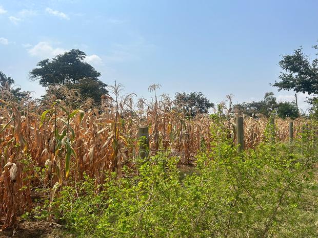 Makutano 4.5acres Fronting River Sagana