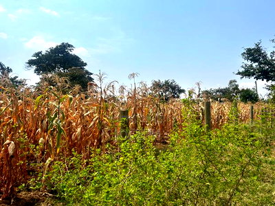 Makutano 4.5acres Fronting River Sagana - Image 7