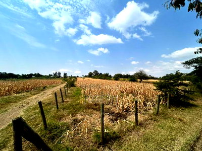 Makutano 4.5acres Fronting River Sagana - Image 4