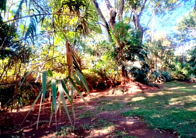 3/4 Acre Lavington Land at KSh 165M