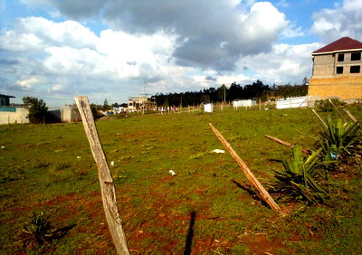 Quarter Acre Plot in Kibiku