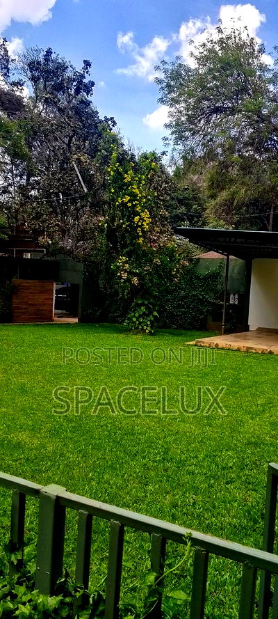 Restaurant Space and Lounge - Image 6