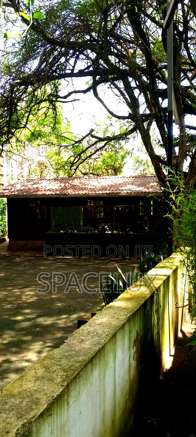 Restaurant Space and Lounge - Image 4