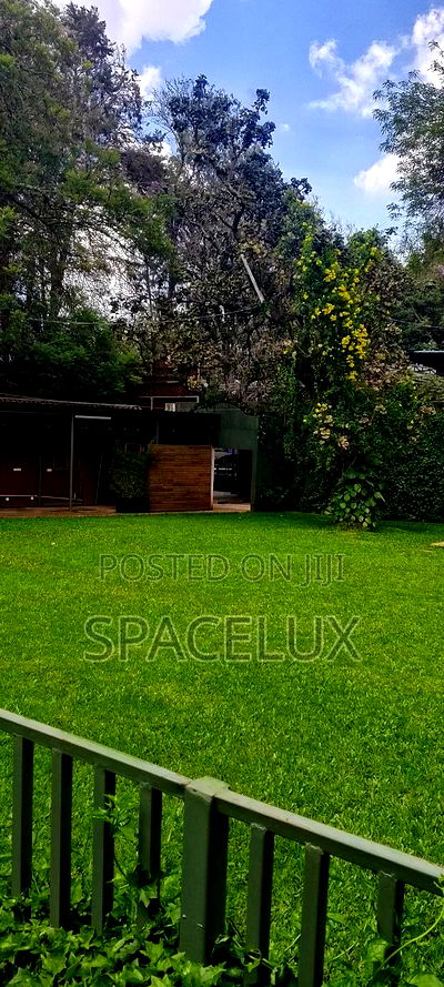 Restaurant Space and Lounge - Image 7