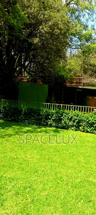 Restaurant Space and Lounge - Image 5