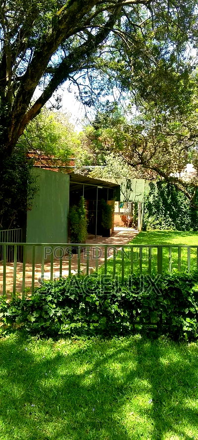 Restaurant Space and Lounge - Image 8