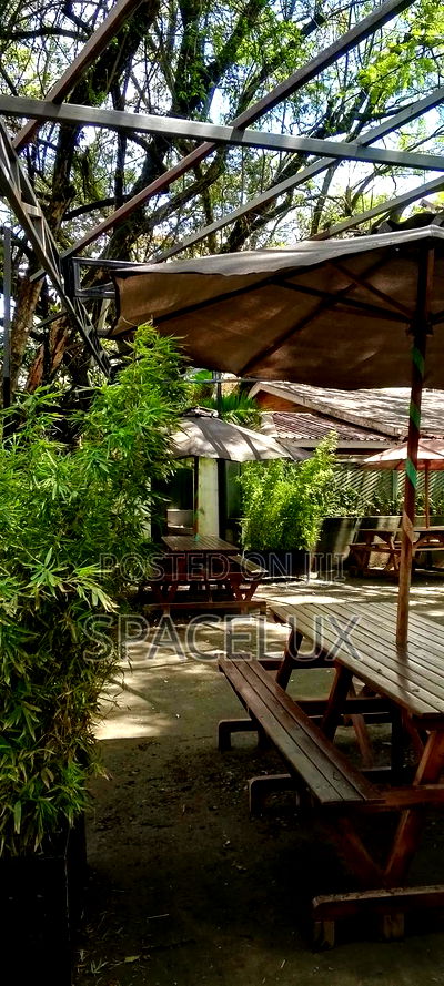 Restaurant Space and Lounge - Image 2