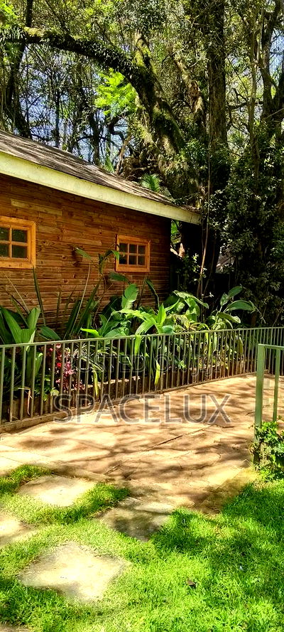 Restaurant Space and Lounge - Image 12