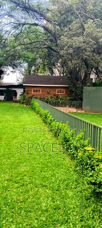 Restaurant Space and Lounge - Image 9