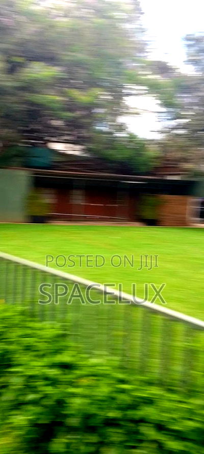 Restaurant Space and Lounge - Image 10