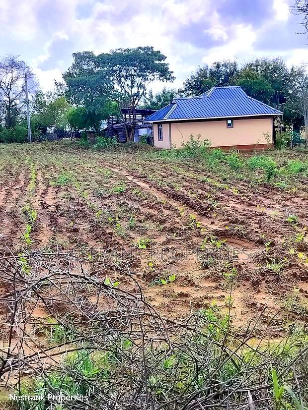 Plots In Matuu Size 50*100