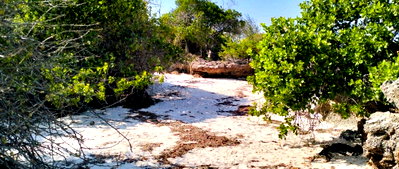 1.5-Acre Beachfront Gem at KSh 33M