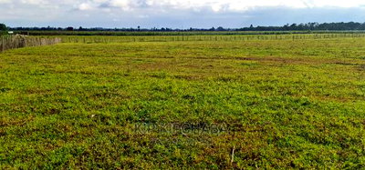 1/4 Plots for Sale in Kimumu Marura in Eldoret - Image 4