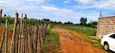 1/4 Plots for Sale in Kimumu Marura in Eldoret - Image 6