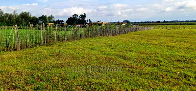 1/4 Plots for Sale in Kimumu Marura in Eldoret - Image 1