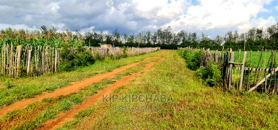1/4 Plots for Sale in Kimumu Marura in Eldoret - Image 2