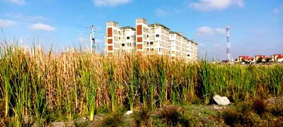 30 Acres for Sale in Juja,3km From Thika Rd - Image 2