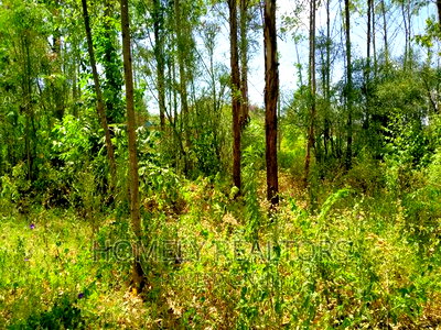 Half Acre Plot in Ongata Rongai, Rimpa Tarmac With Perimeter - Image 4