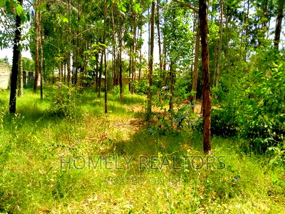 Half Acre Plot in Ongata Rongai, Rimpa Tarmac With Perimeter - Image 3