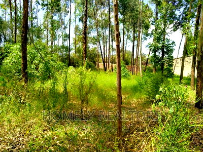 Half Acre Plot in Ongata Rongai, Rimpa Tarmac With Perimeter - Image 1