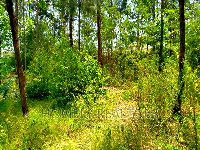 Half Acre Plot in Ongata Rongai, Rimpa Tarmac With Perimeter - Image 2