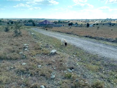 Kitengela 50x100 Plots - Image 5