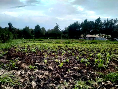 One Acre Piece of Land in Ngong Matasia, Merisho Road Tarmac - Image 3