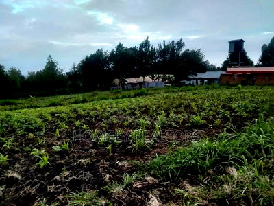 One Acre Piece of Land in Ngong Matasia, Merisho Road Tarmac - Image 1