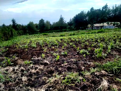 One Acre Piece of Land in Ngong Matasia, Merisho Road Tarmac - Image 2